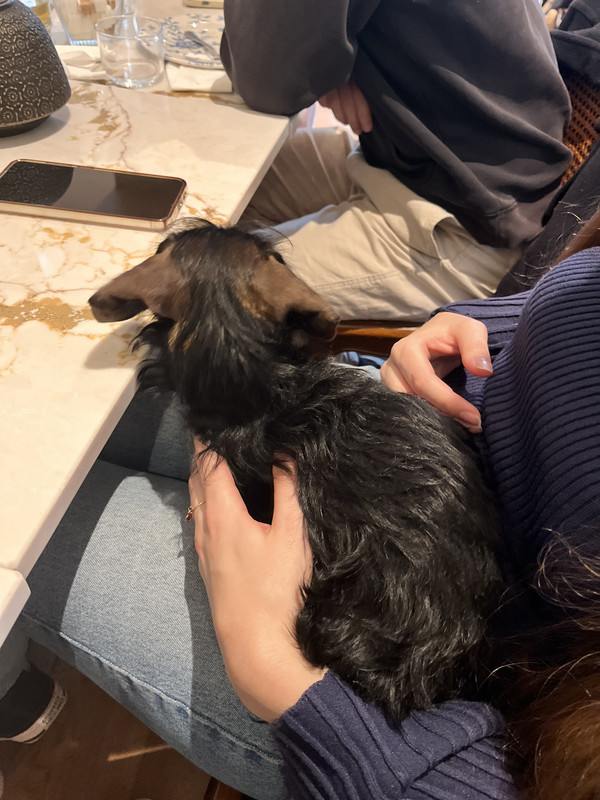 [Image: IMG-4083.jpg]