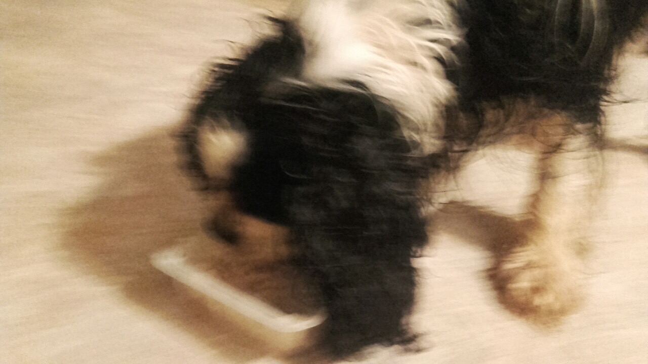 708A2BEE-0C86-4FF4-9537-467DD8F21452