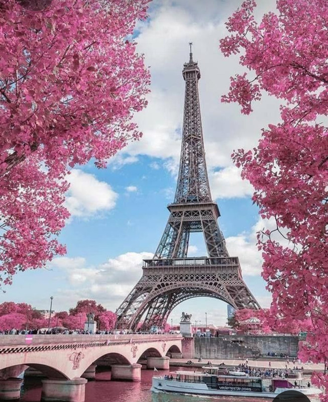 Screenshot_20230327_004120_Pinterest