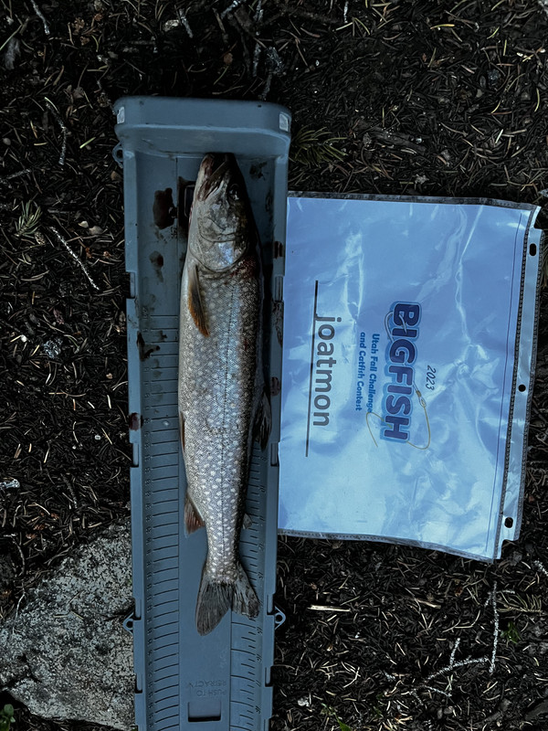 58563390-B3A7-4276-A13B-7625A0F634AA