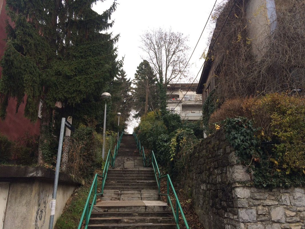 Бесплатная вакцинация туристов в Хорватии