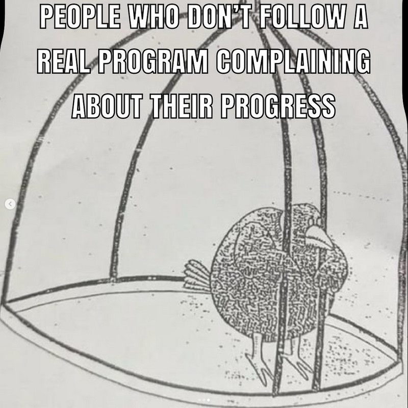 iojiooip