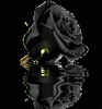 [Image: RoseBlk.gif]