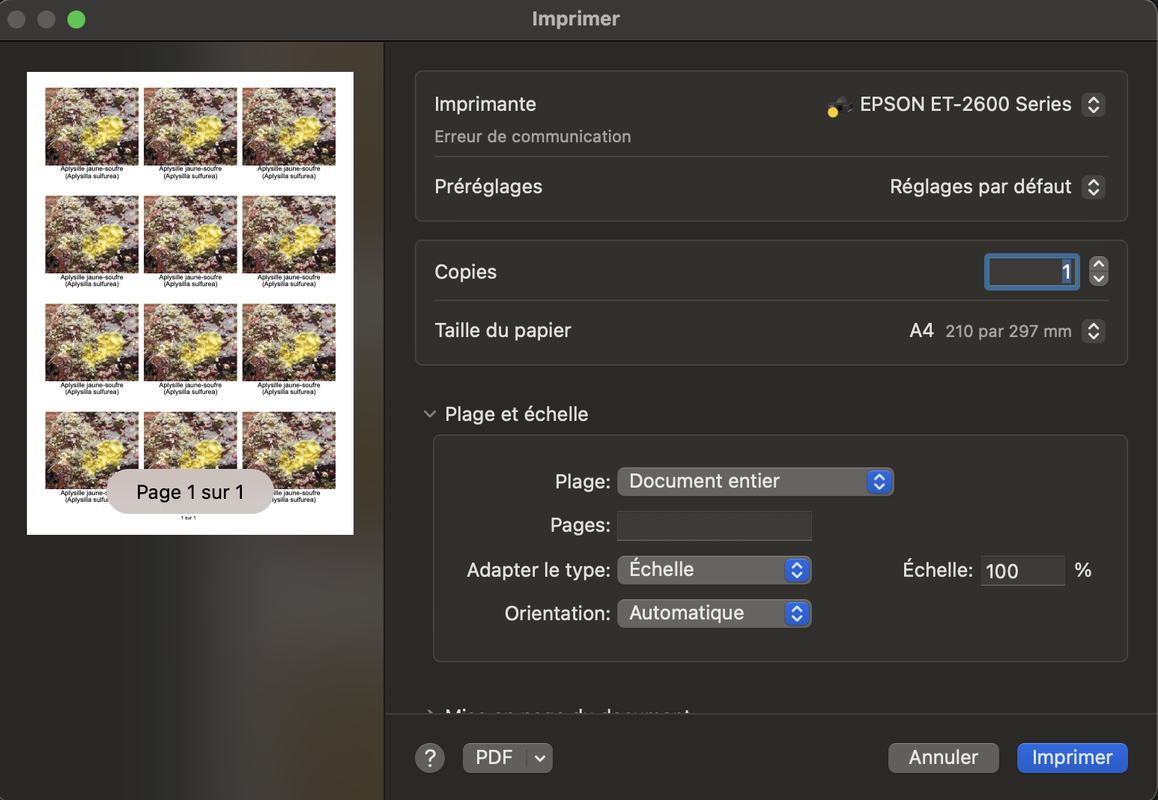 Capture d’écran 2024-10-29 à 11.38.07