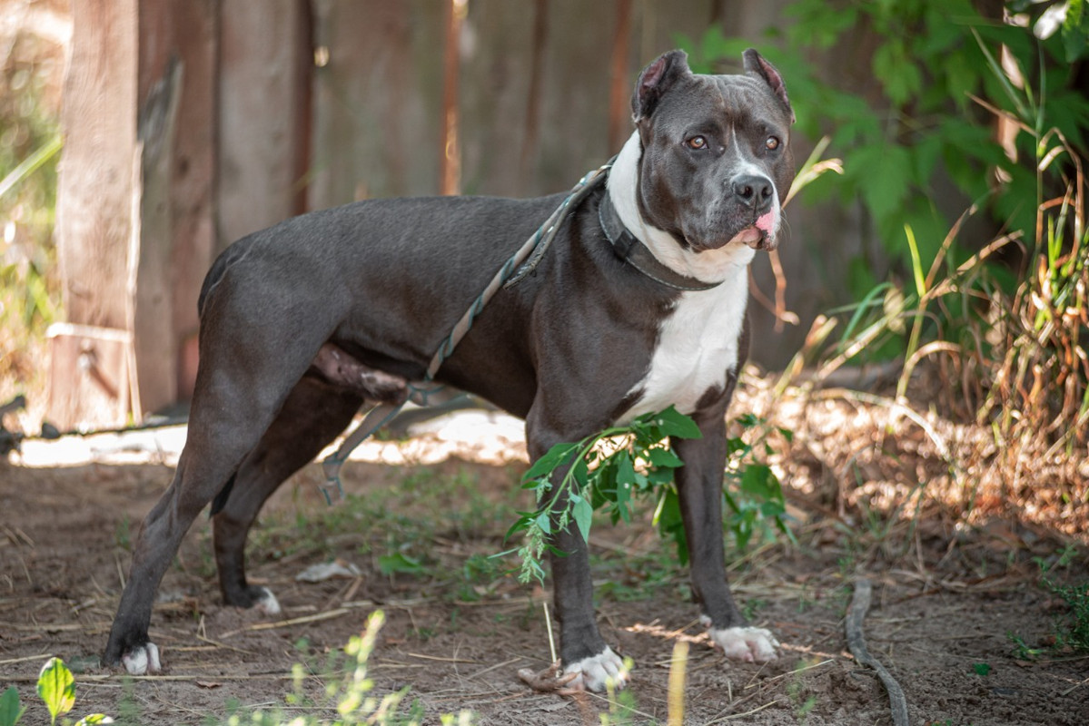 WhatsApp Image 2022-08-14 at 18.05.26 (3)