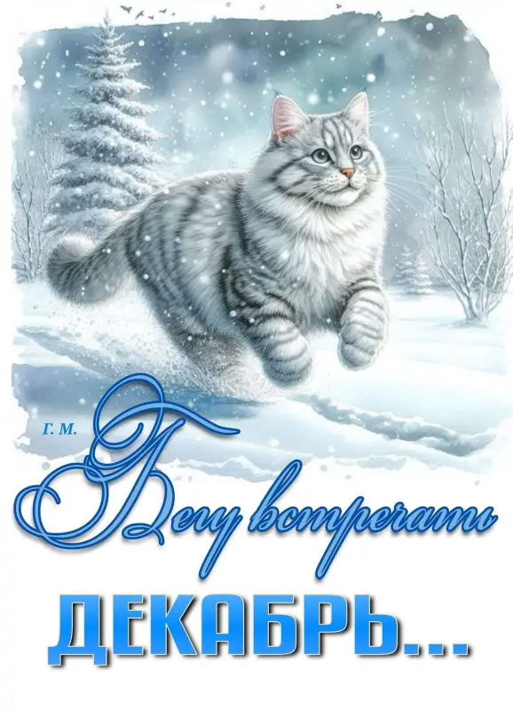 бегу за декабрем