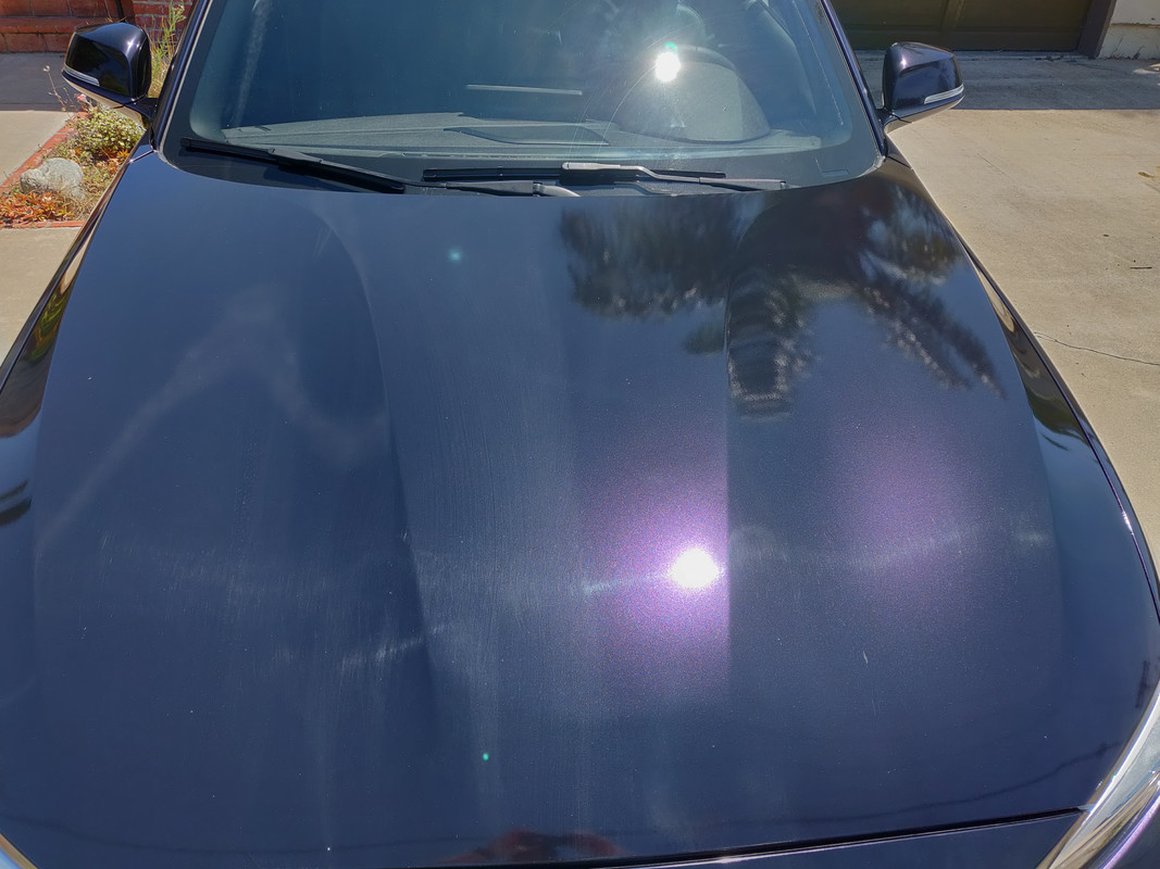 IMG-20190816-123156.jpg