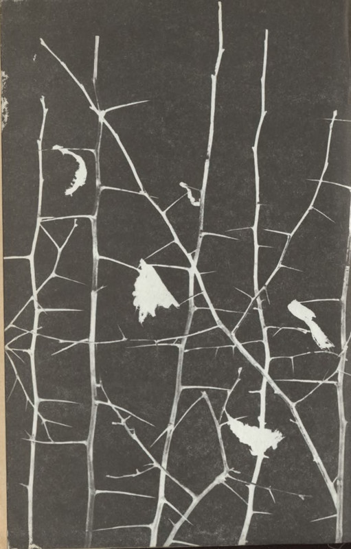p0694