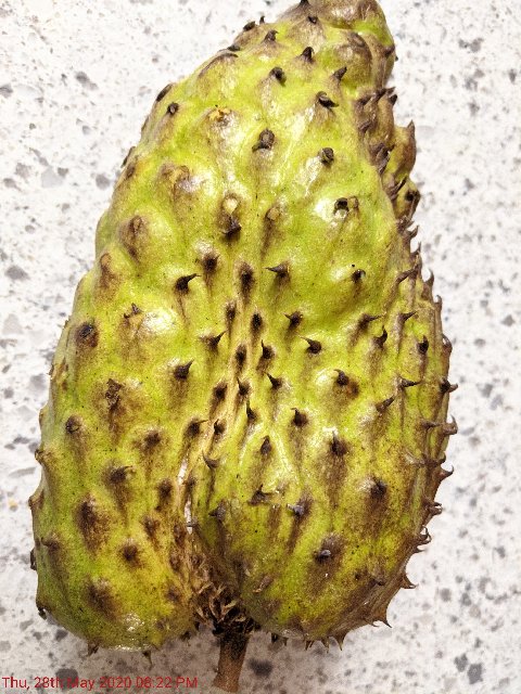 [Image: IMG-20200528-202220.jpg]