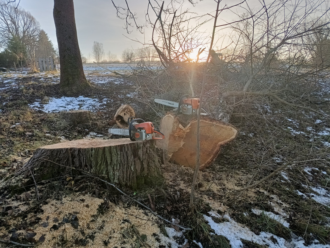 IMG_20241125_145932622_HDR