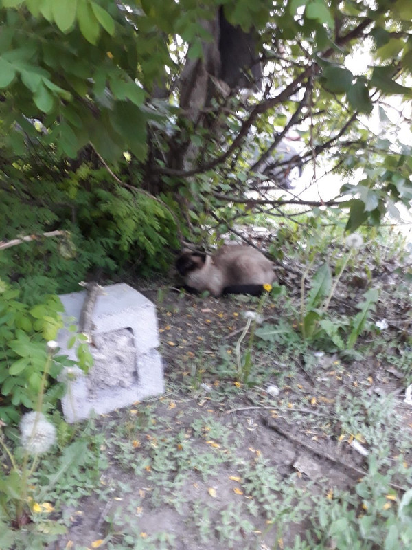 34E2C5BC-B615-4D8B-8678-5E47DB4095EA