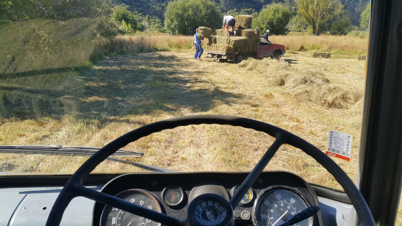 20210201_165536 (Large)