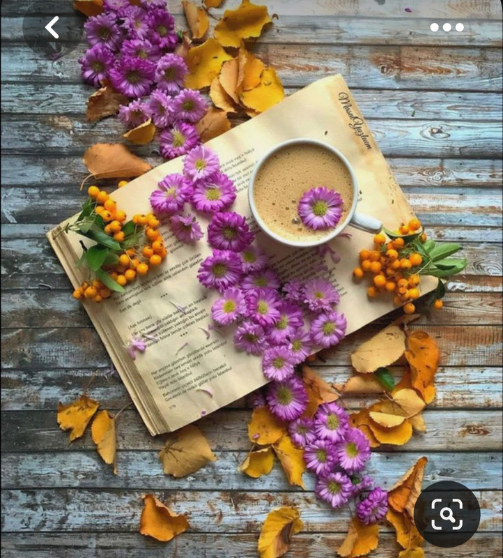 Screenshot_20230603_222912_Pinterest