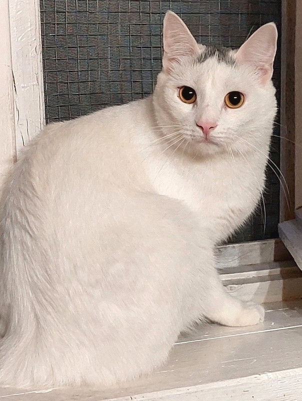 GnxcAWfh4DM - копия