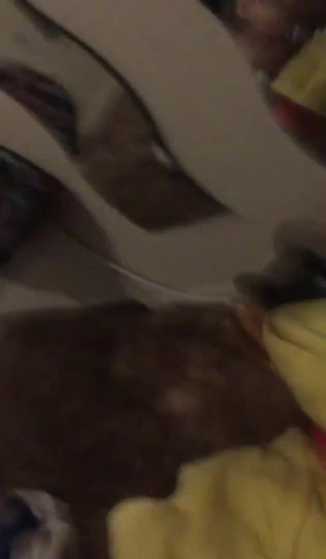 IMG_20231220_105323_535