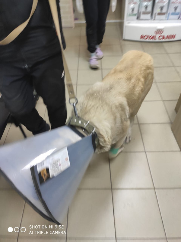 https://i.postimg.cc/63HfQj3T/IMG-20250320-WA0064.jpg