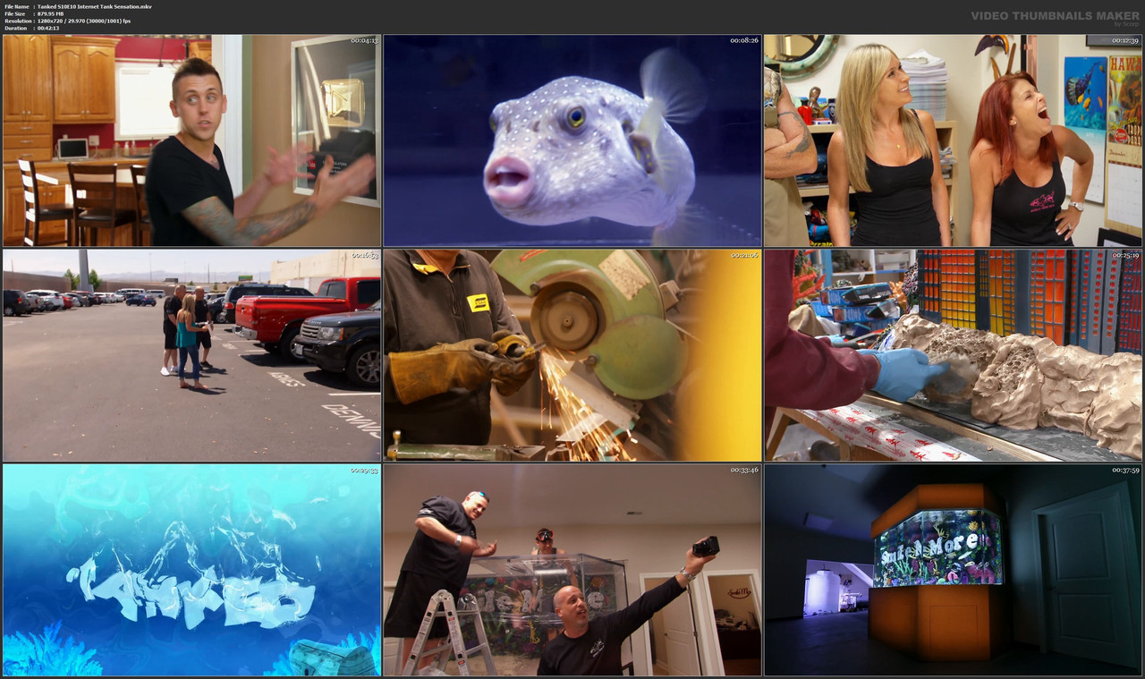 Tanked S10E10 Internet Tank Sensation.mkv