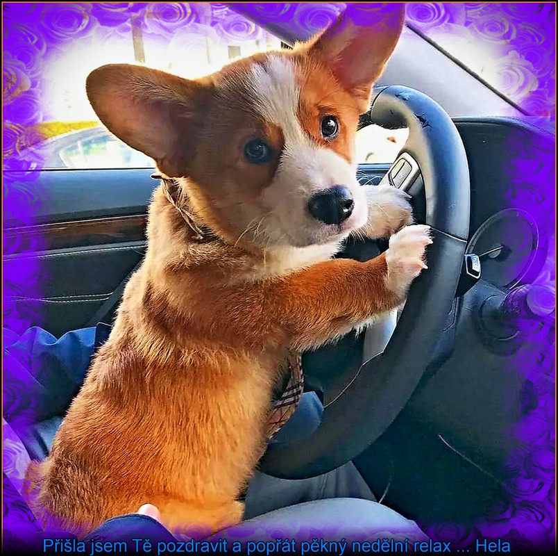 neděle2.6.2024úúúprava