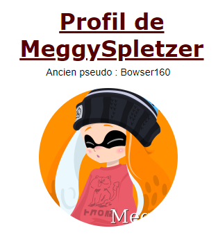 https://i.postimg.cc/63JMdN1m/meggybowser.png