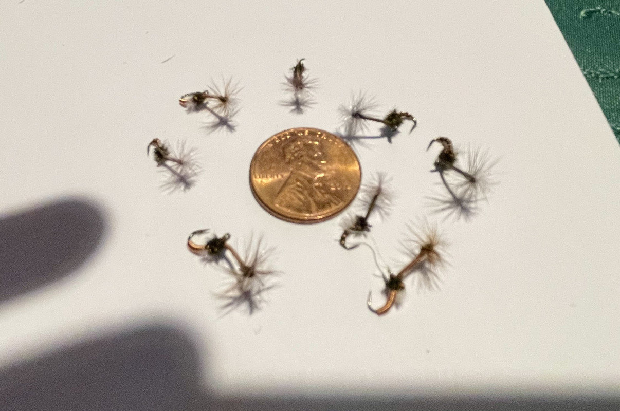 014726D9-390D-48EA-989E-CFB22AD2439D_1_201_a