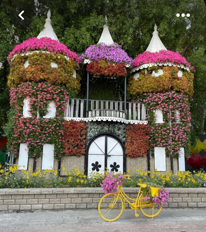 Screenshot_20230611_231631_Pinterest