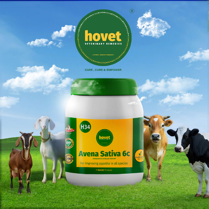 Artboard 1 100 edited