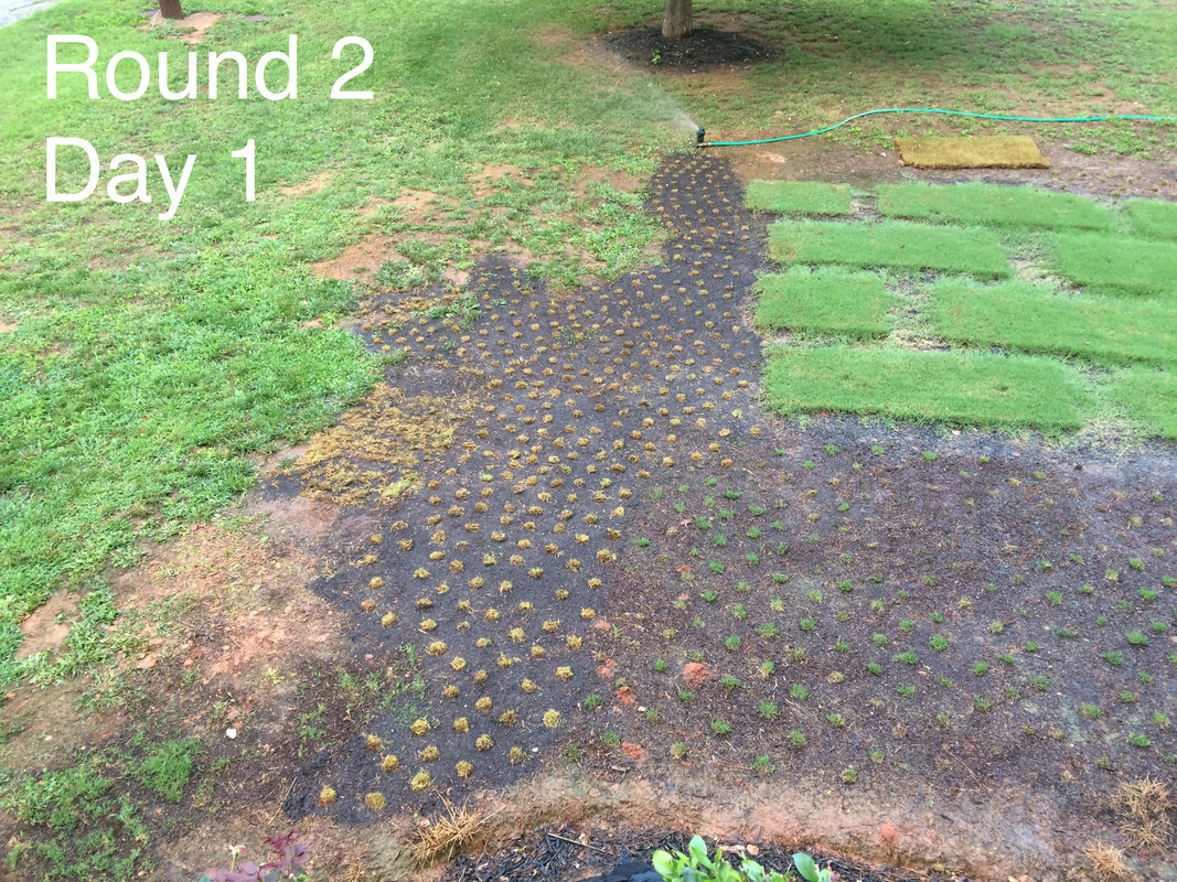 9C1F0E0A-F226-4E09-8F5B-2A379EB1CE5A