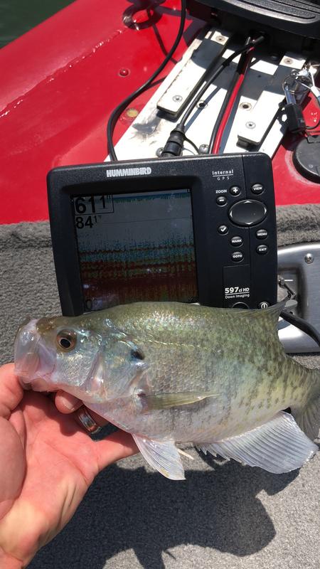 B7291EFF-9B75-4D23-988A-A7ECAF784826