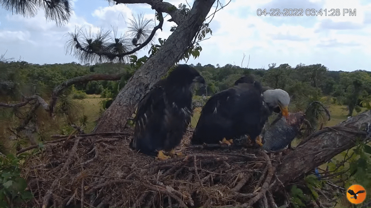 Webp.net-gifmaker (2)