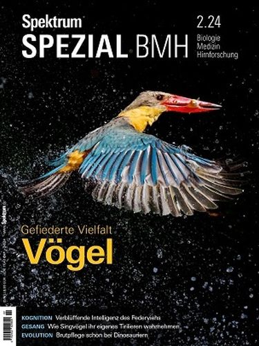 Cover: Spektrum der Wissenschaft Spezial Bhm No 02 2024
