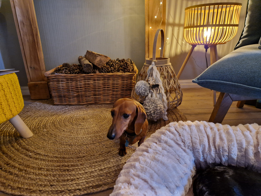 [Image: 20221205-104434.jpg]