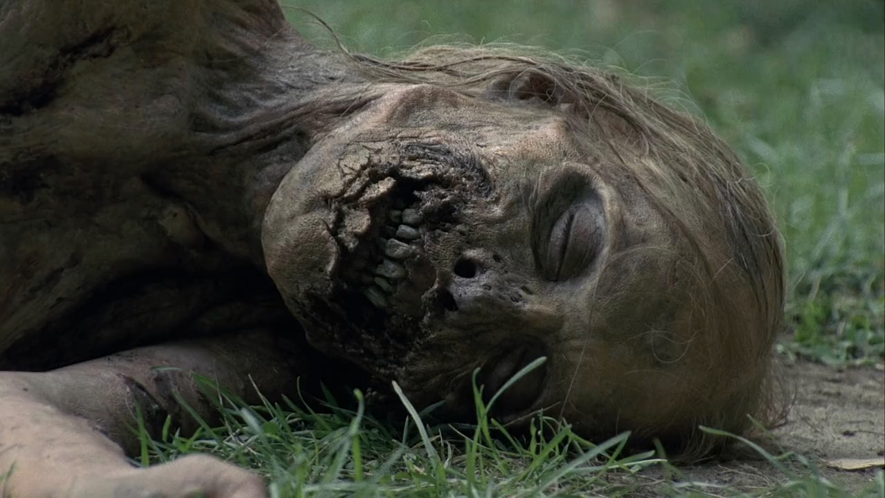 The Walking Dead (2010) Season 1 [English] BluRay 480p 720p ESub - Complete Screenshot