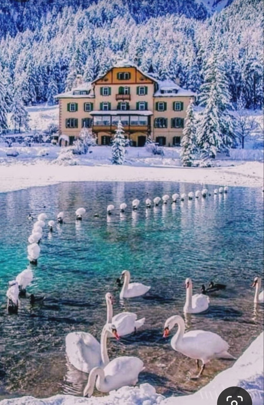 Screenshot_20231219_203741_Pinterest