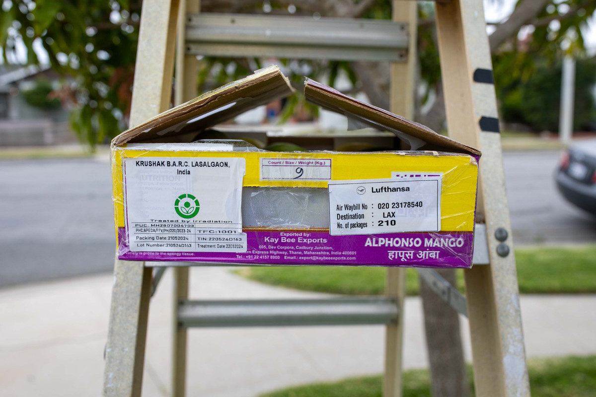 8U1A1743  Alphonso Mango Box - Side Import Label (5-26-2024)