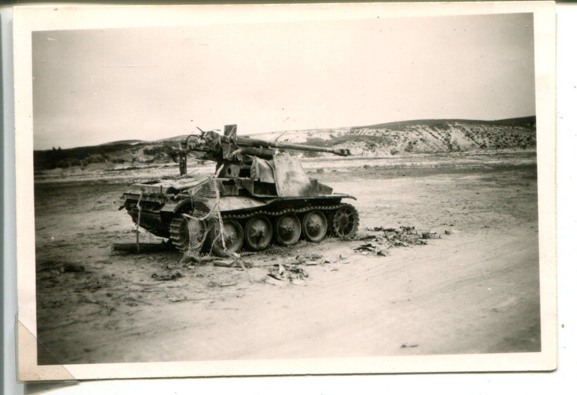 Orig.Foto zerstörtes Deutsches Sturmgeschütz Sel