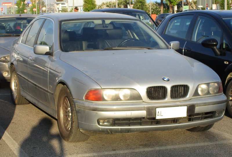 IMG-5685.jpg