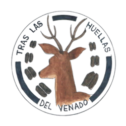 Logo 11