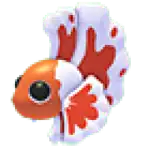 Orange Betta Fish