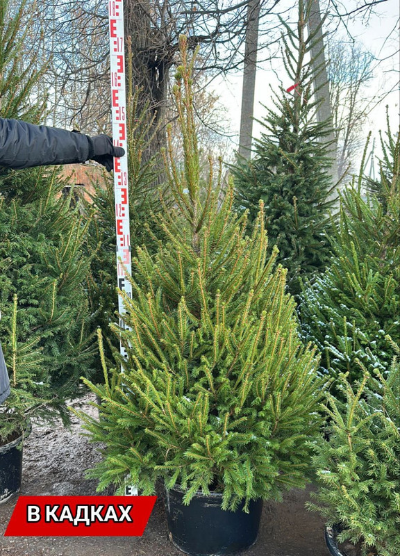 d67c19c54e3856f0061f