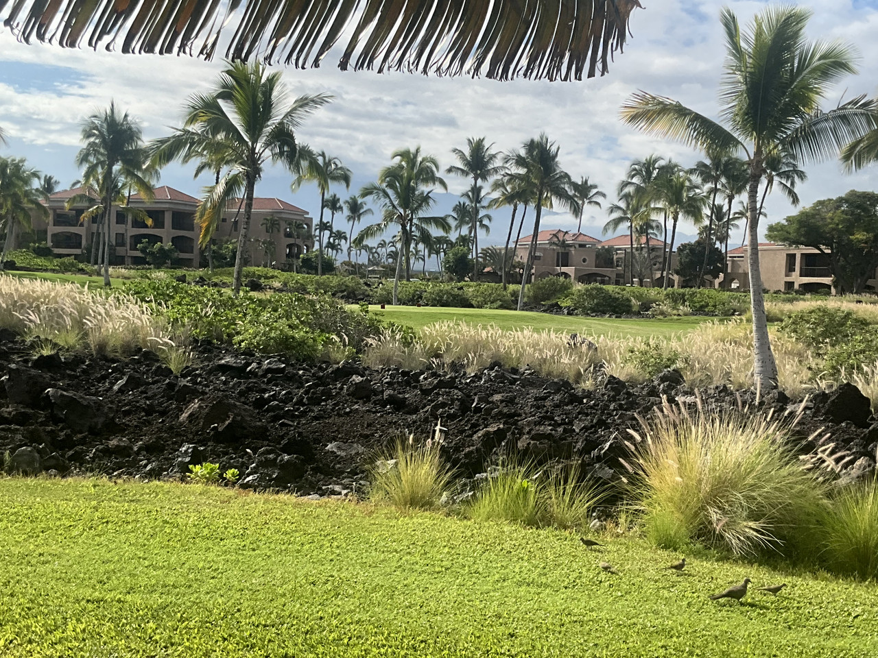 78994120866 E4B7FC9B 6EFA 47ED A51B 7BBAC8869A1C