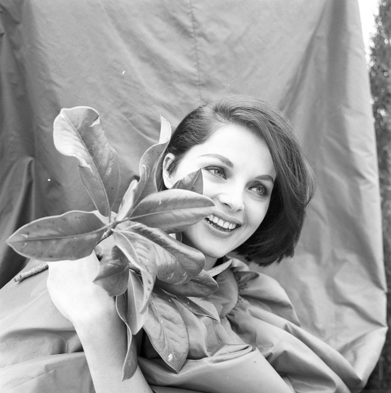 Virna_Lisi_md10