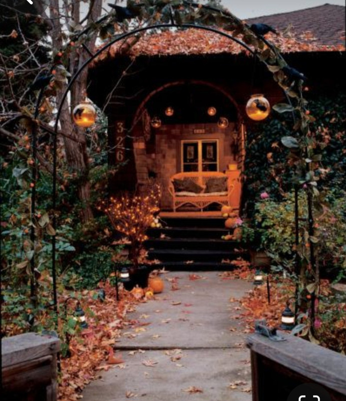 Screenshot_20231113_120614_Pinterest