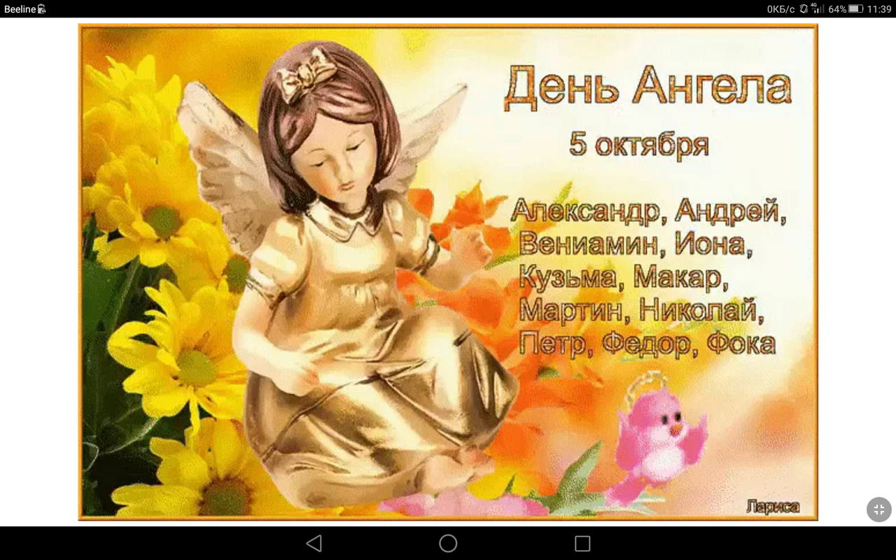 Screenshot_2023-10-05-11-39-57