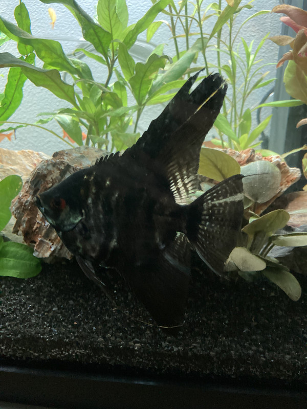 81D59D17-B5AC-4E42-B3C9-89B02D44AA34