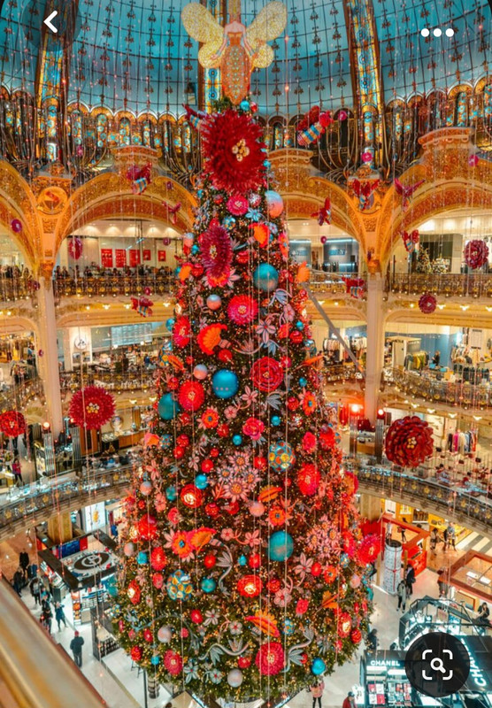 Screenshot_20231007_210242_Pinterest