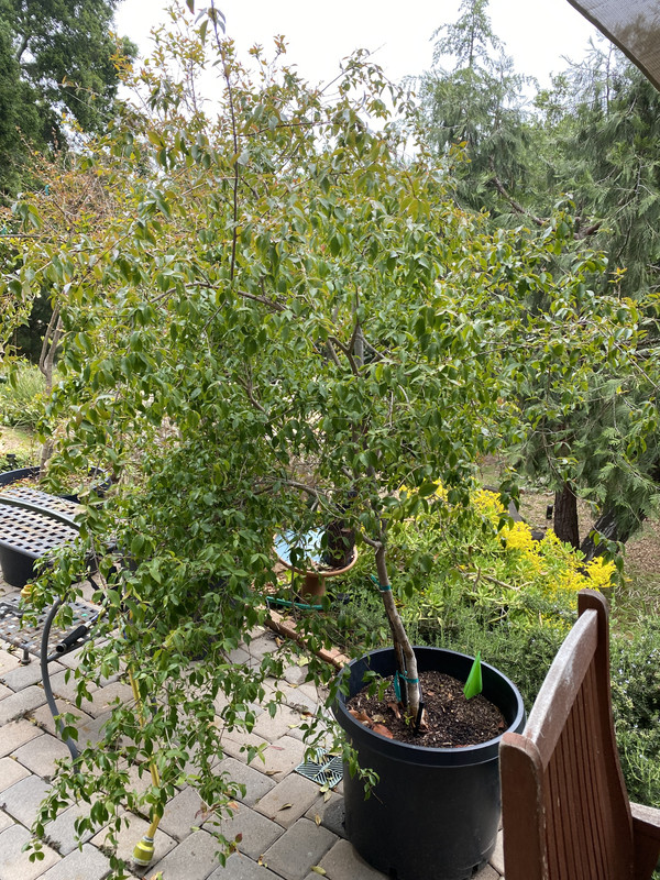 9E1BE1F5-00F5-429C-9C32-68102E711992