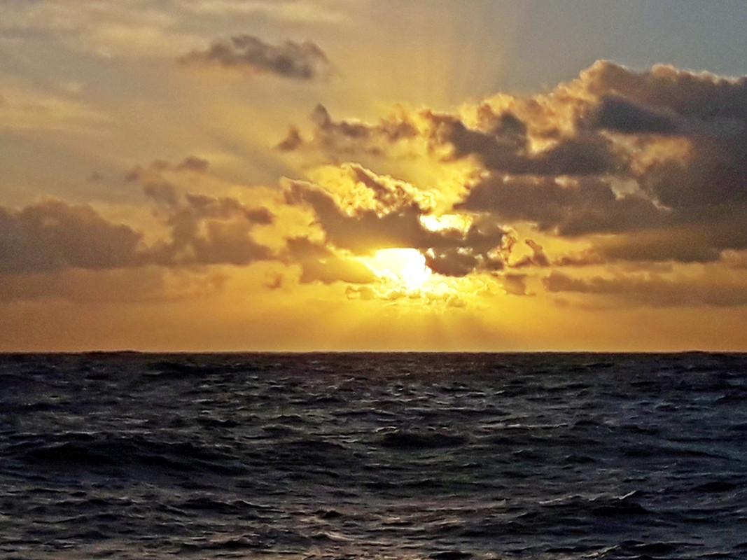 [Imagen: 20200213-090748.jpg]