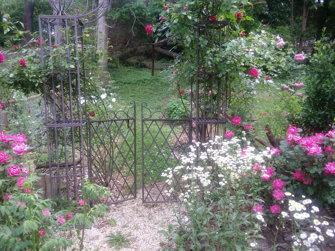 20190504_133121