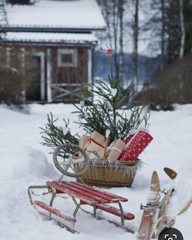 Screenshot_20230403_231907_Pinterest