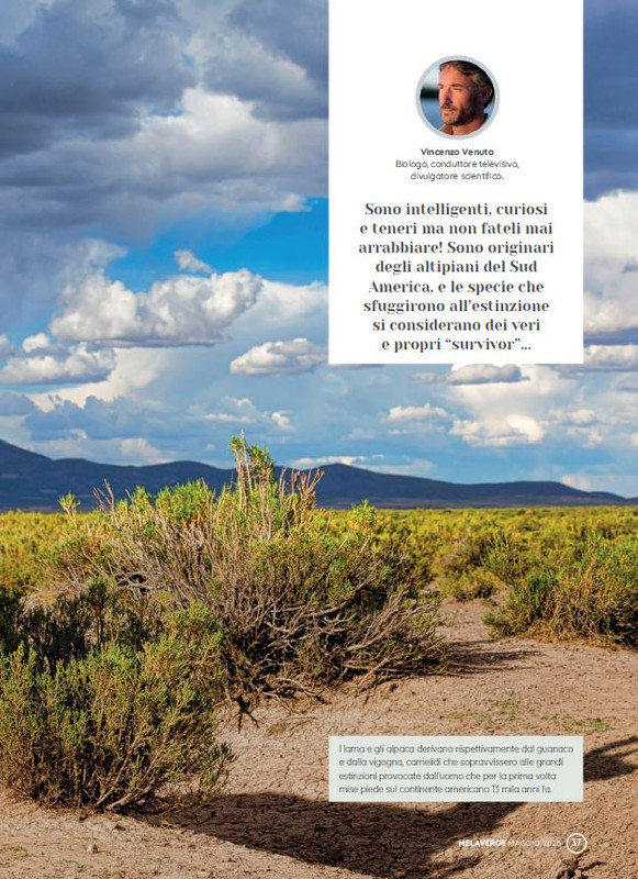 melaverde Mag 2023 (4)